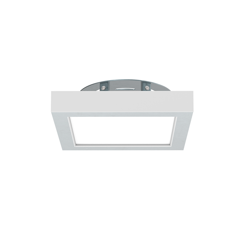 Ceiling lights flush mount