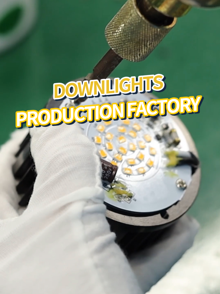 Factory Quality: Recessed Downlights